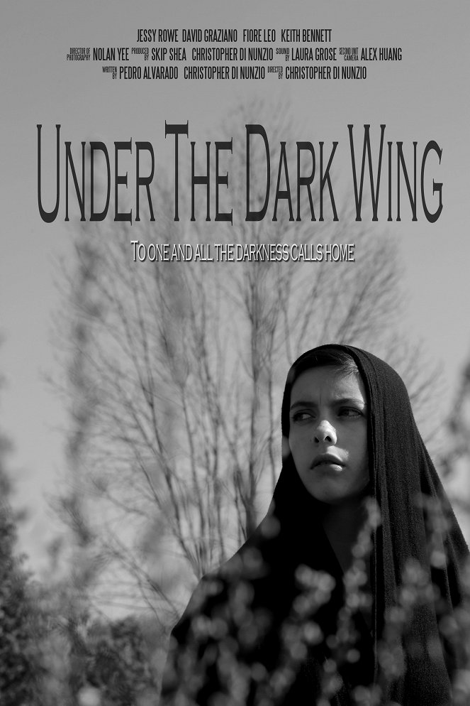 Under the Dark Wing - Cartazes