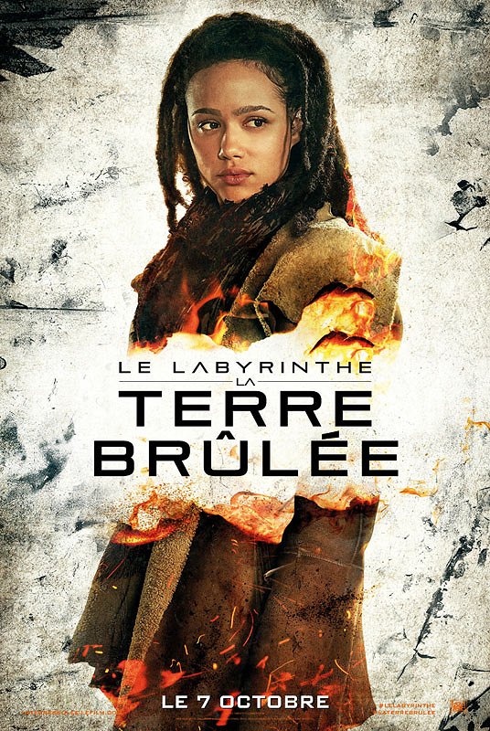 Le Labyrinthe : La terre brûlée - Affiches