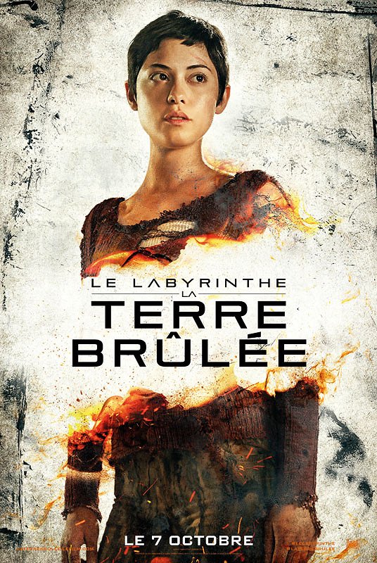 Le Labyrinthe : La terre brûlée - Affiches