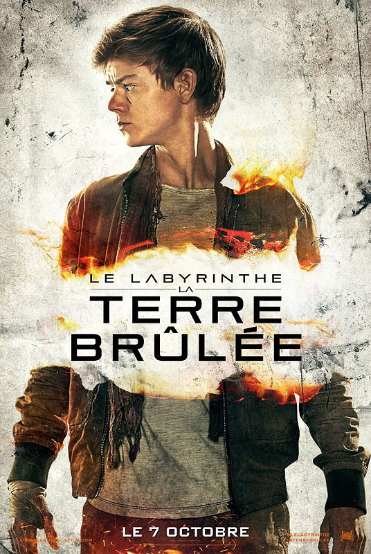 Le Labyrinthe : La terre brûlée - Affiches