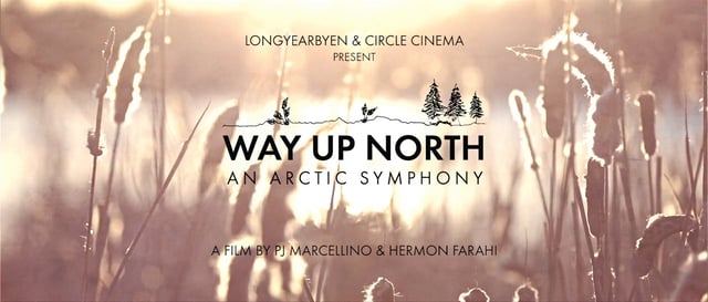 Way Up North: An Arctic Symphony - Carteles