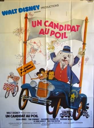 Un candidat au poil - Affiches