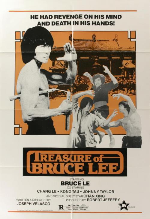 Treasure of Bruce Le - Posters