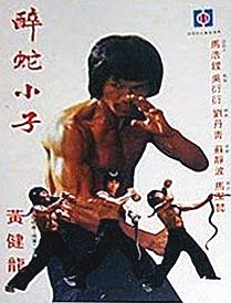 The Young Bruce Lee - Posters