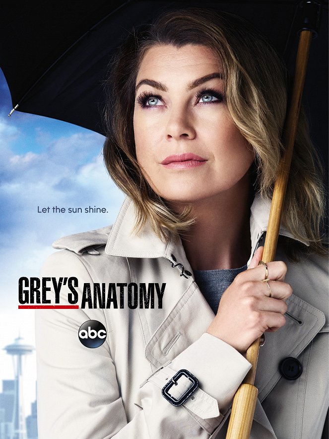 Grey's Anatomy - Grey's Anatomy - Season 12 - Affiches