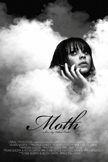 Moth - Posters
