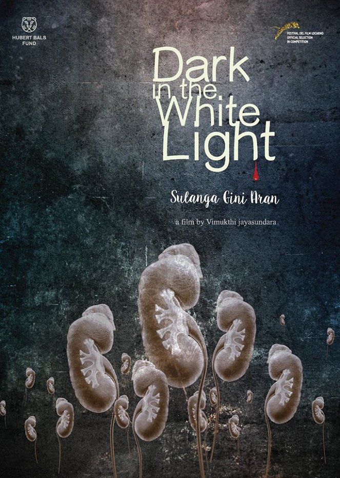 Dark in the White Light - Posters