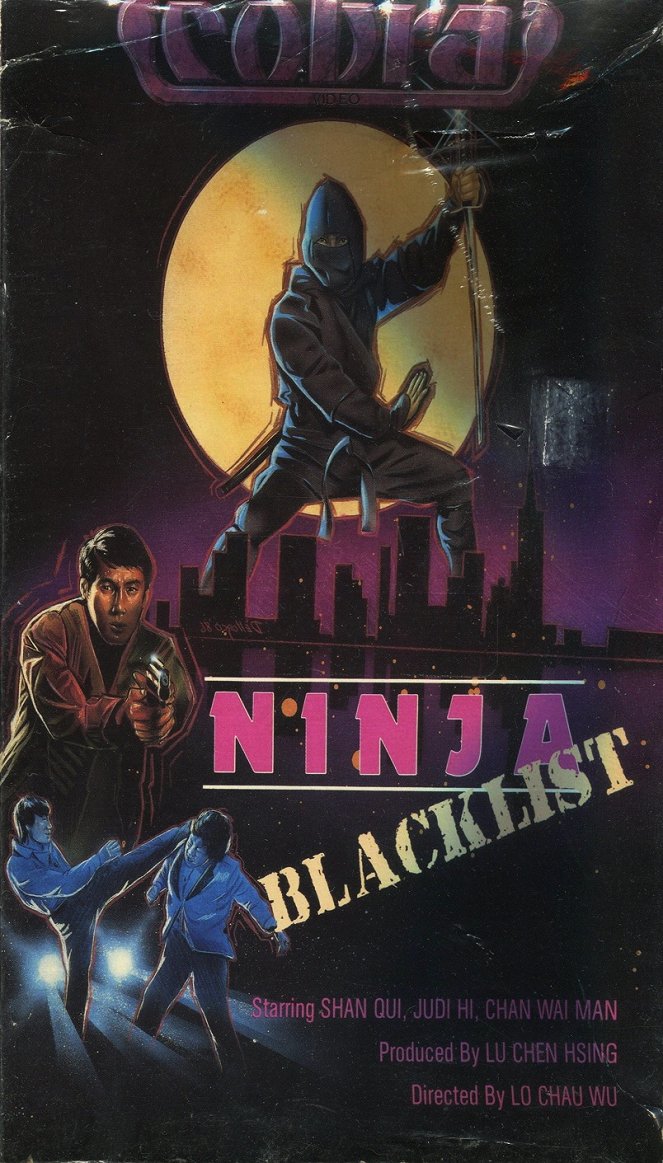 Ninja Terminator - Posters