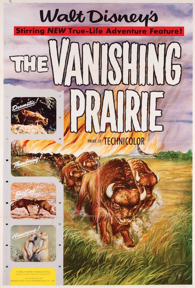 The Vanishing Prairie - Affiches