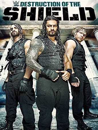 Journey to SummerSlam: The Destruction of the Shield - Affiches