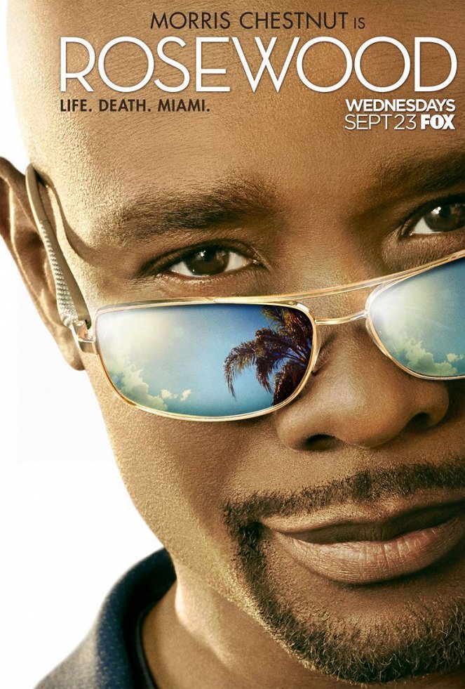 Rosewood - Rosewood - Season 1 - Affiches