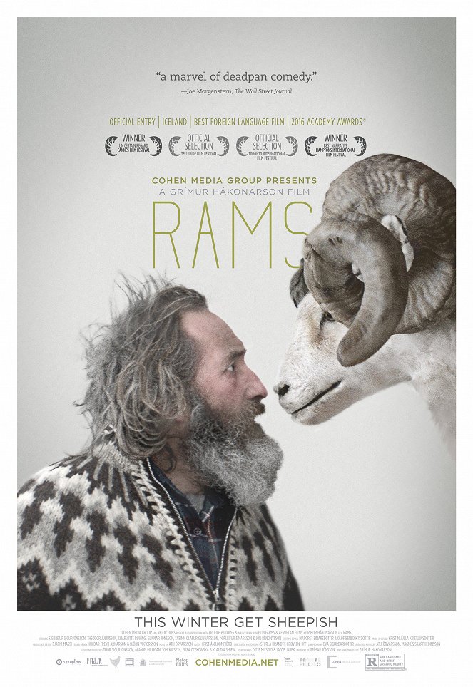 Rams - Posters