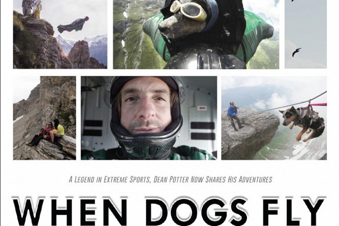When Dogs Fly - Plakate