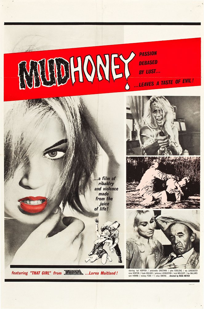 Mudhoney - Plakate