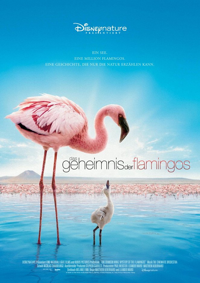 Das Geheimnis der Flamingos - Plakate