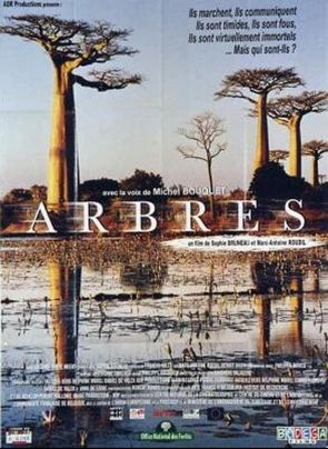Arbres - Plakate