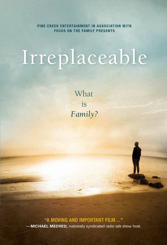 Irreplaceable - Affiches