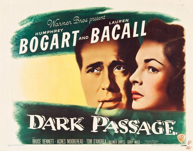 Dark Passage - Posters