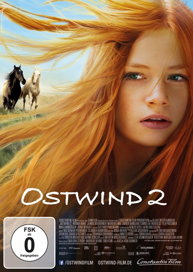 Windstorm 2 - Posters