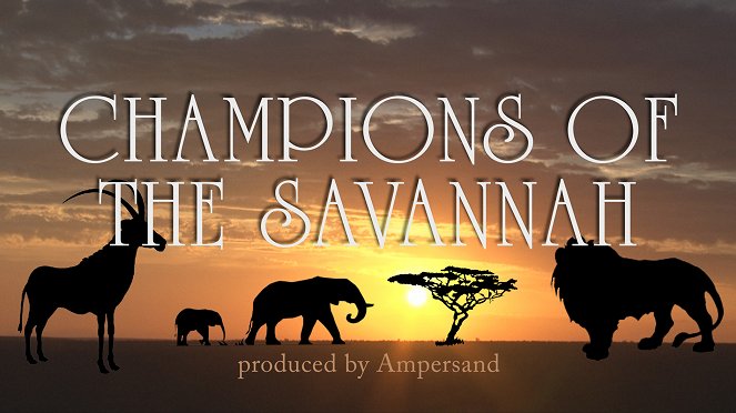 Champions of the Savannah - Posters