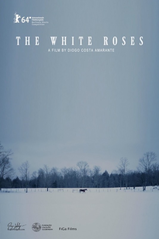 The White Roses - Posters