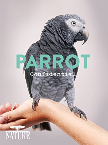 Tajemství papoušků - Plakáty