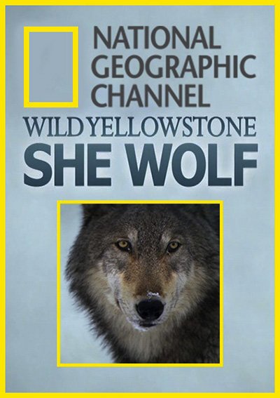 Wild Yellowstone: She Wolf - Cartazes