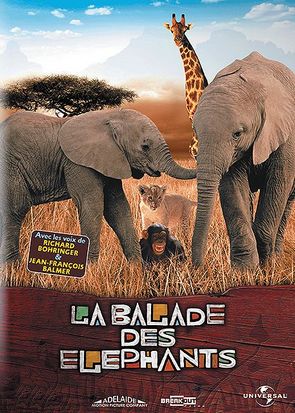 Elephant Tales - Carteles