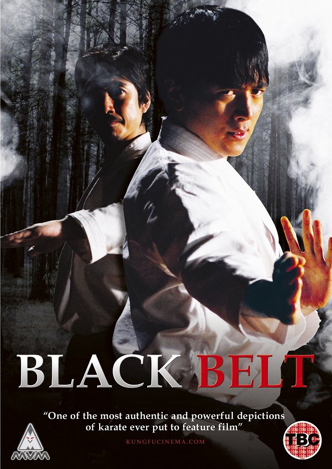 Black Belt - Posters