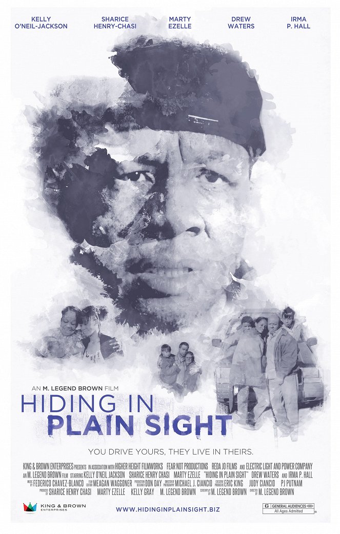 Hiding in Plain Sight - Posters