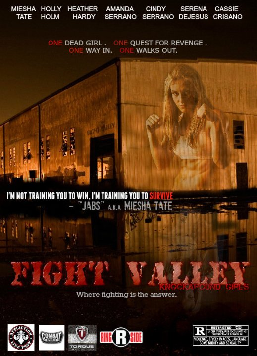 Fight Valley - Affiches