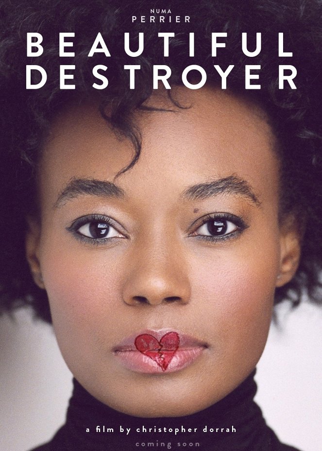 Beautiful Destroyer - Plakáty