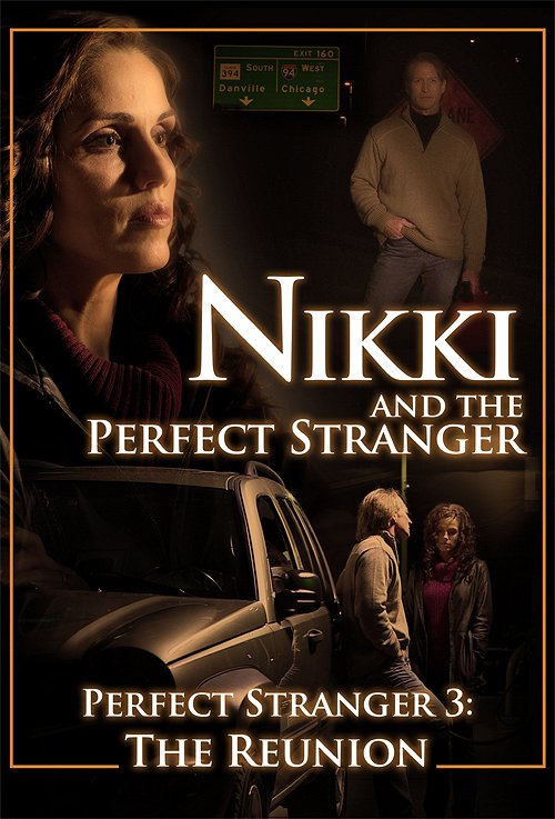 Nikki and the Perfect Stranger - Posters