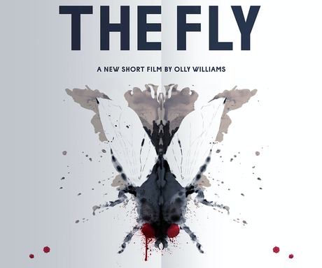 The Fly - Plakátok