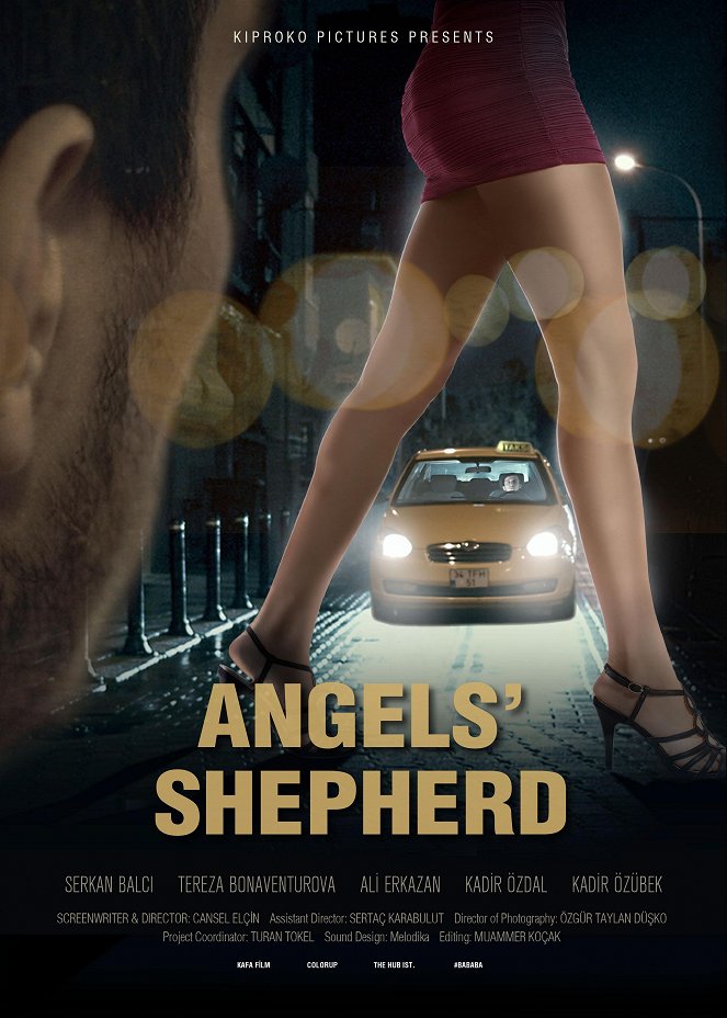 Angels'Shepherd - Posters