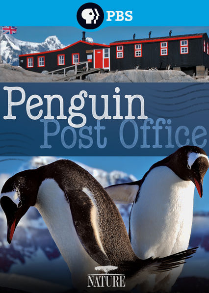 The Natural World - Penguin Post Office - Affiches