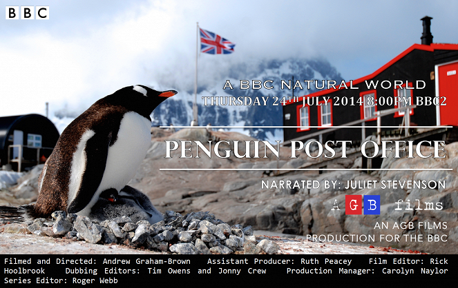 The Natural World - Penguin Post Office - Posters