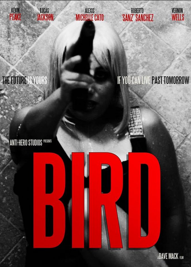 Bird - Plakate