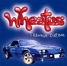 Wheatus - Teenage Dirtbag - Julisteet