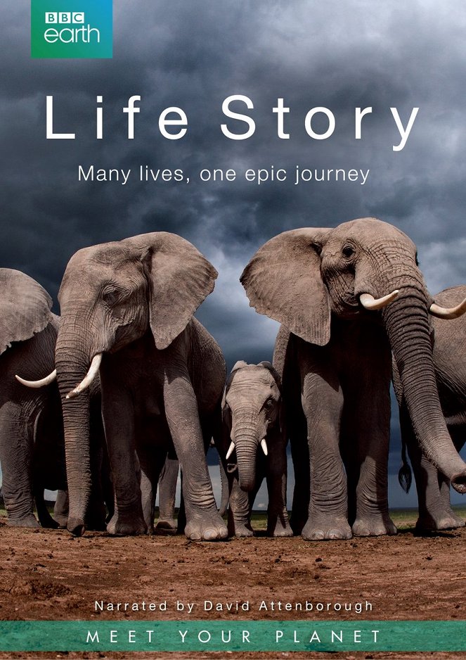 Life Story - Affiches