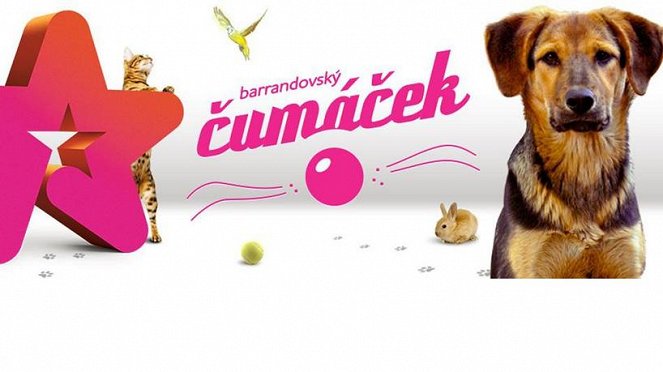 Barrandovský čumáček - Affiches