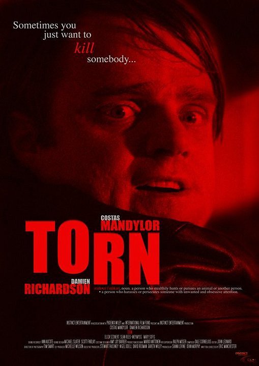 Torn - Plakate