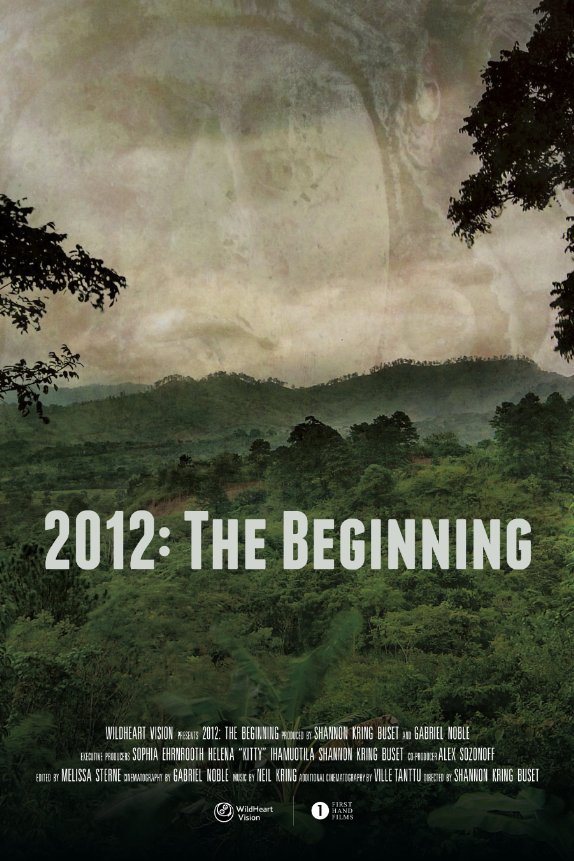 2012: The Beginning - Affiches