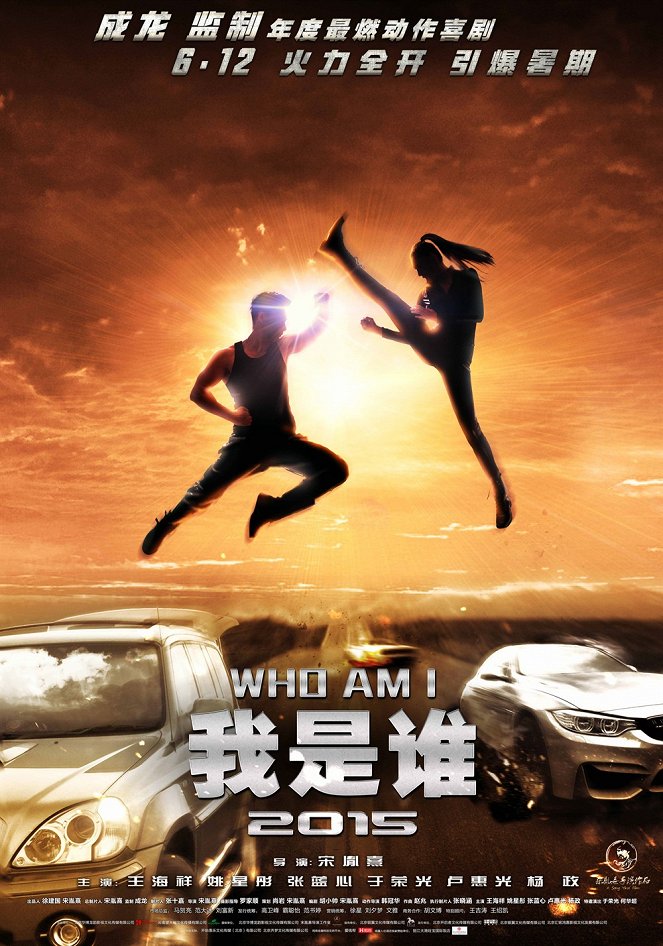 Who Am I 2015 - Plakate