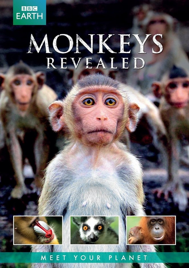 Monkeys Revealed - Carteles