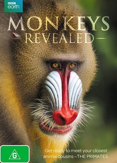 Monkeys Revealed - Cartazes