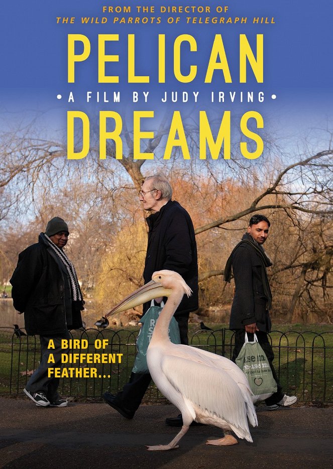 Pelican Dreams - Plakaty