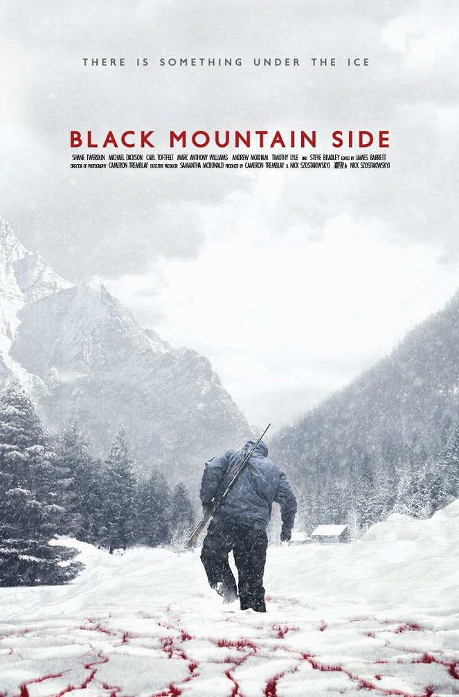 Black Mountain Side - Affiches