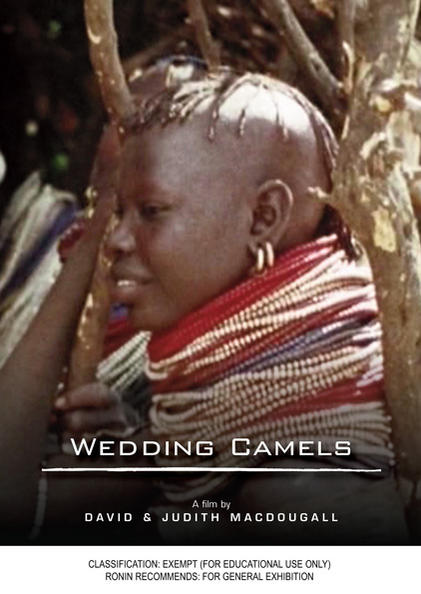 The Wedding Camels - Affiches