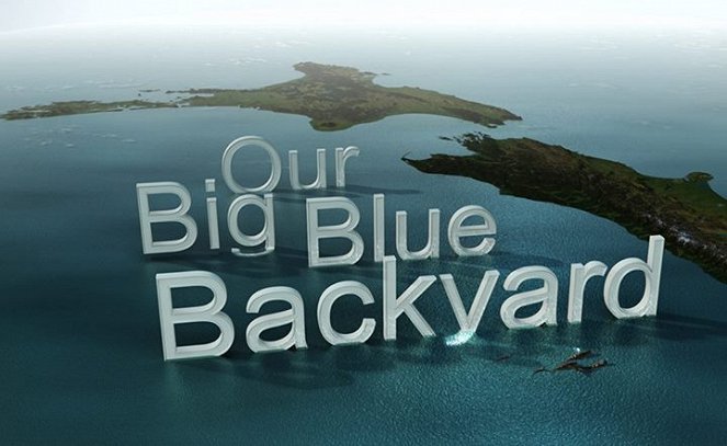 Our Big Blue Backyard - Affiches